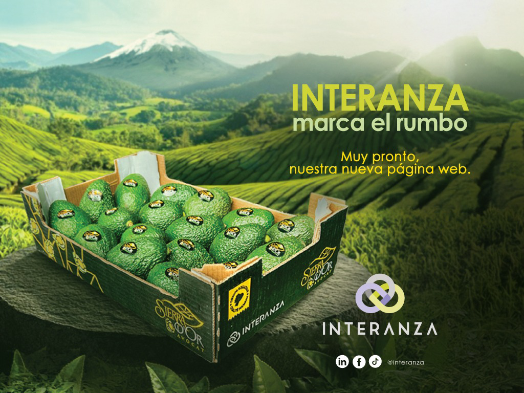 Imagen adaptable